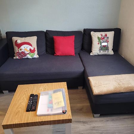 Appartement Au Cigogneau Wifi-Netflix-Balcon-Parking Munster  Exterior photo
