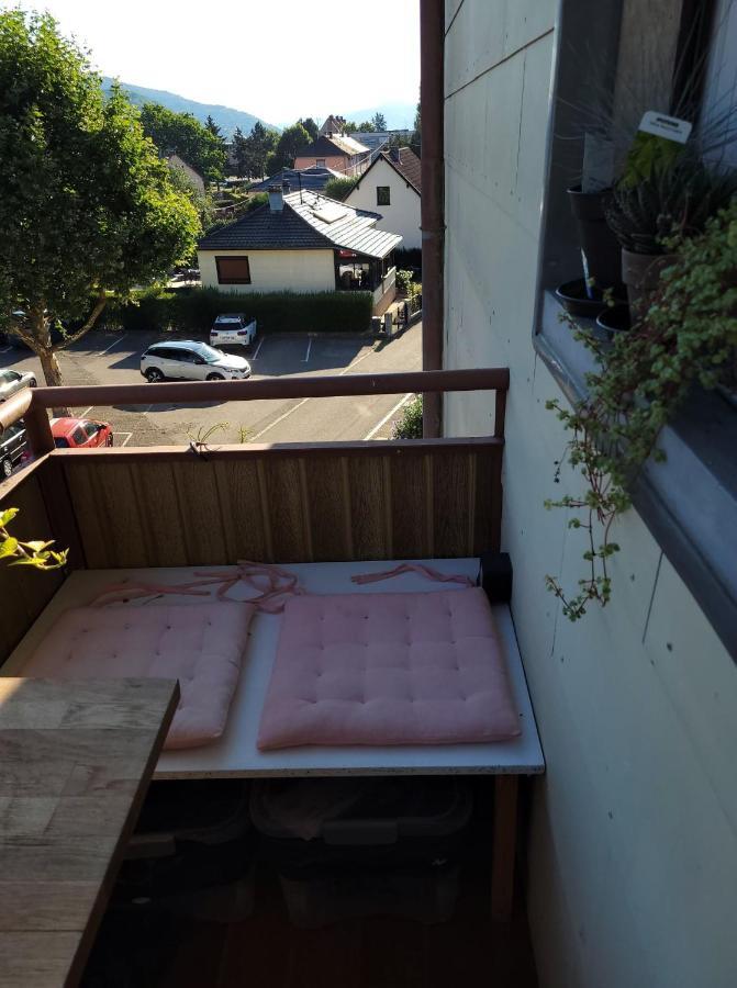 Appartement Au Cigogneau Wifi-Netflix-Balcon-Parking Munster  Exterior photo