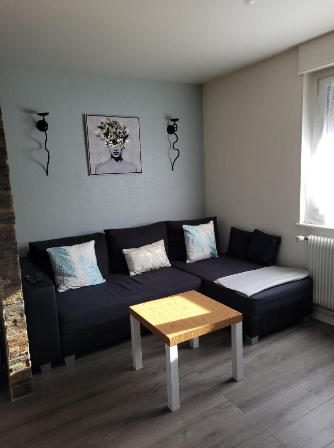 Appartement Au Cigogneau Wifi-Netflix-Balcon-Parking Munster  Exterior photo