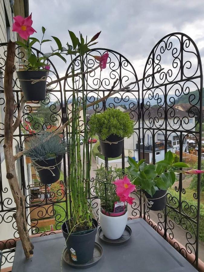 Appartement Au Cigogneau Wifi-Netflix-Balcon-Parking Munster  Exterior photo